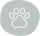 pets