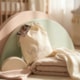 freepik-highend-editorial-babycare-composition-using-the-i-96005fvgfc